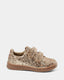 JOLLYSB SHOE